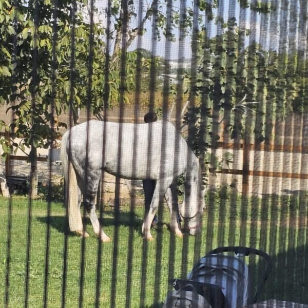 Akeller Pimapen Bursa Sineklik 18 17 53